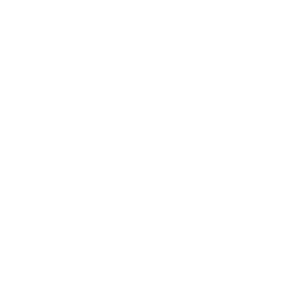 Warrior Tyres